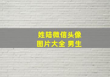 姓陆微信头像图片大全 男生